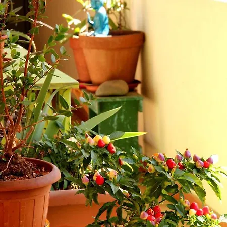 Apartament Diaz Cagliari